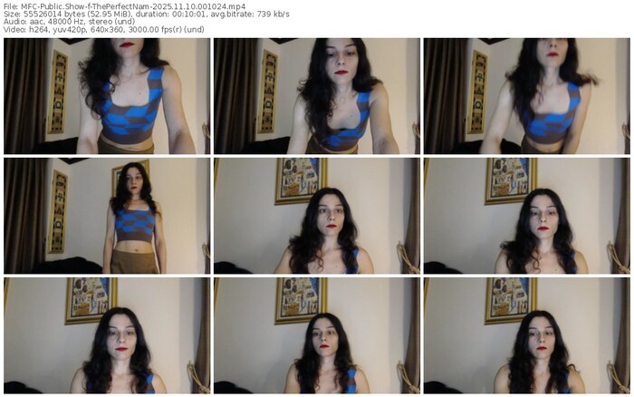 myfreecams-theperfectnam-11-10-2025-00-10-24