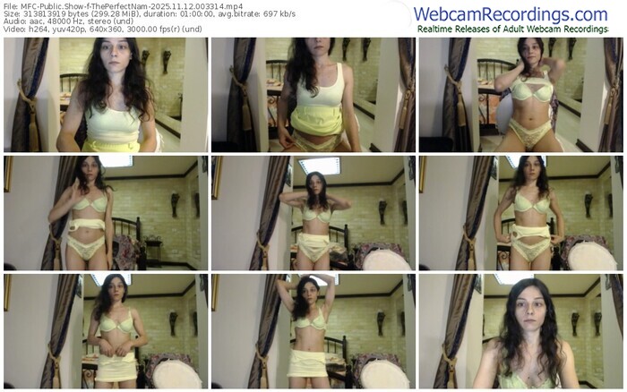 myfreecams-theperfectnam-11-12-2025-00-33-14