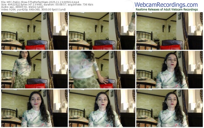 myfreecams-theperfectnam-11-13-2025-00-50-14