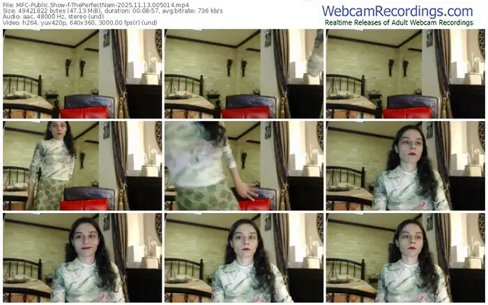 myfreecams-theperfectnam-11-13-2025-00-50-14