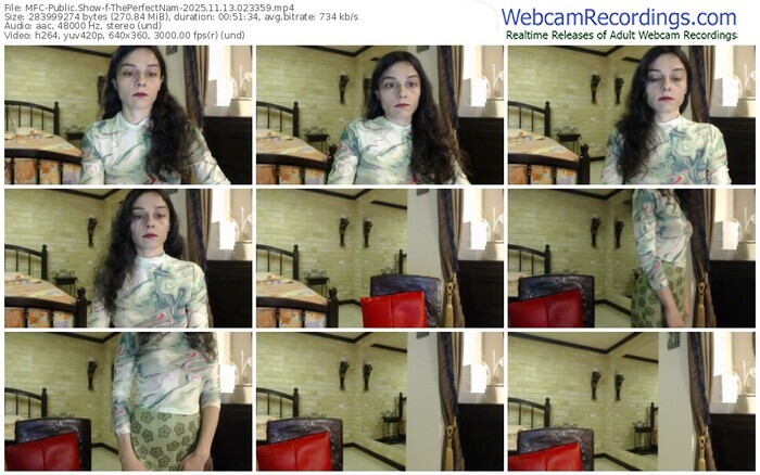 myfreecams-theperfectnam-11-13-2025-02-33-59