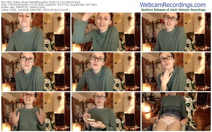 myfreecams-wildflowerem-11-13-2025-19-02-26