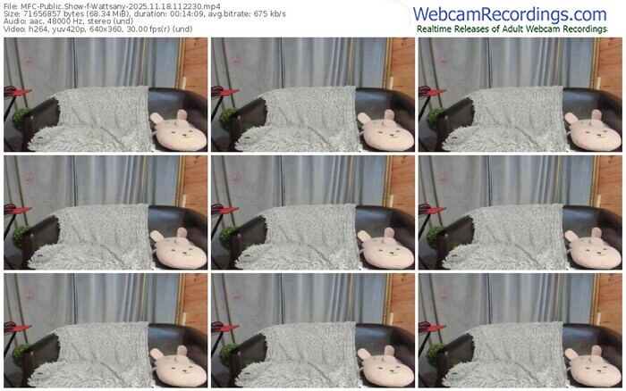 myfreecams-wattsany-11-18-2025-11-22-30