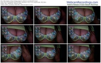 myfreecams-slayzgemini-11-19-2025-05-22-53