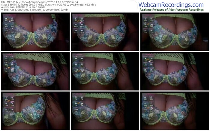 myfreecams-slayzgemini-11-19-2025-05-22-53