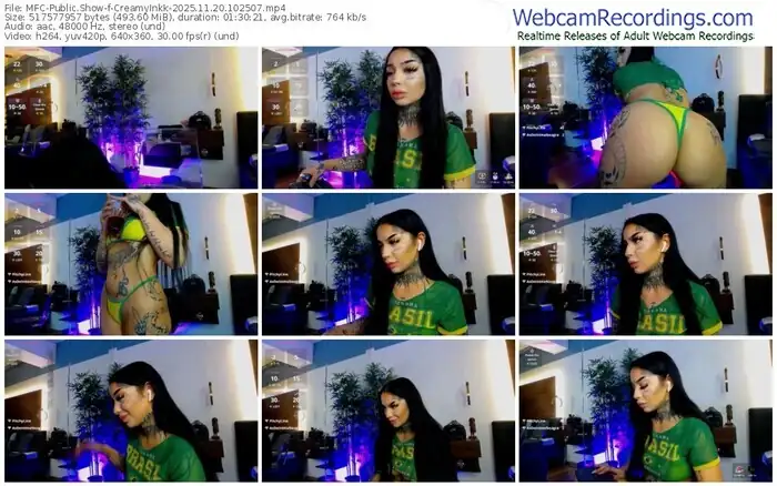 myfreecams-creamyinkk-11-20-2025-10-25-07