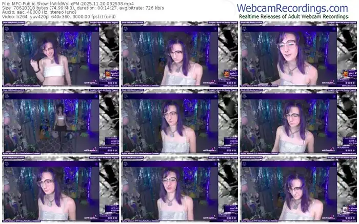 myfreecams-wildwyliepm-11-20-2025-03-25-38