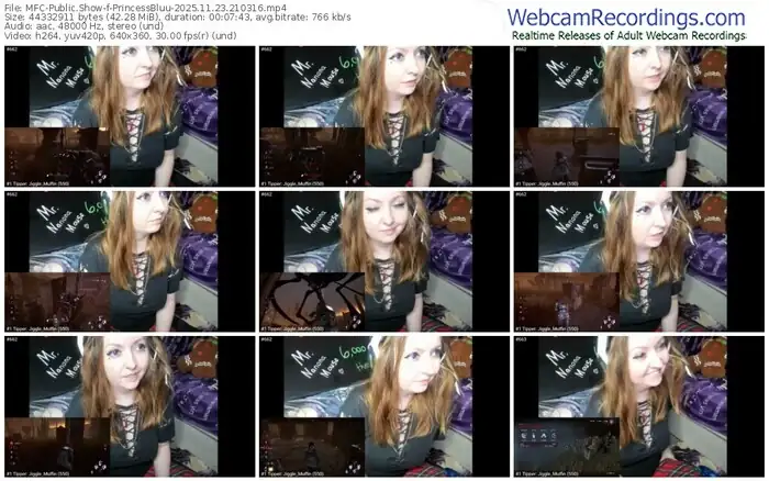 myfreecams-princessbluu-11-23-2025-21-03-16