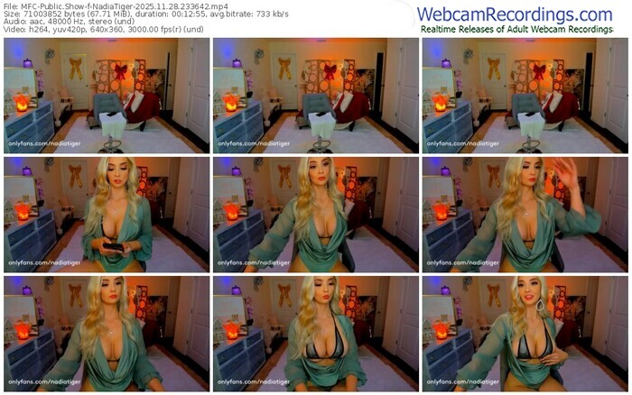 myfreecams-nadiatiger-11-28-2025-23-36-42