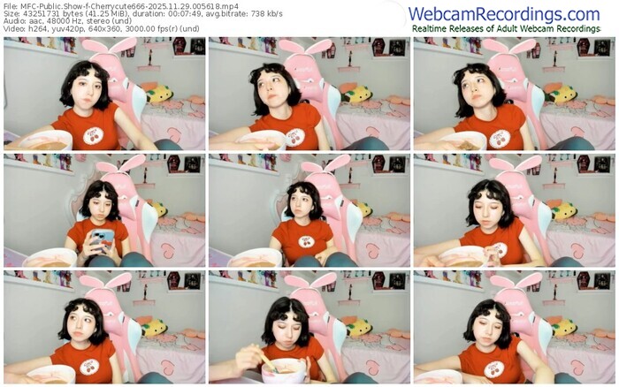 myfreecams-cherrycute666-11-29-2025-00-56-18