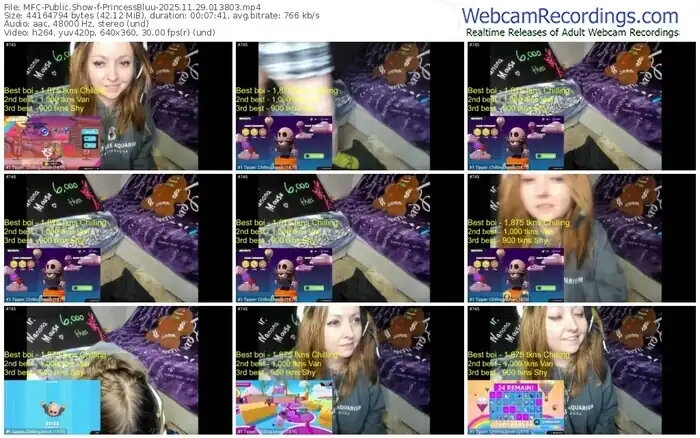 myfreecams-princessbluu-11-29-2025-01-38-03