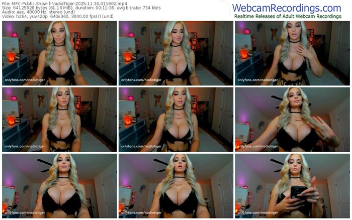 myfreecams-nadiatiger-11-30-2025-01-16-02