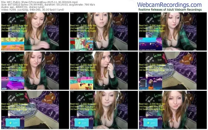 myfreecams-princessbluu-11-30-2025-00-00-26