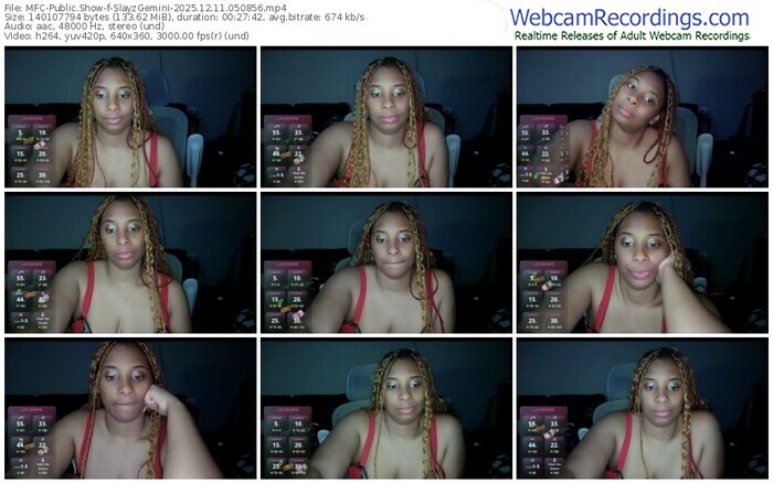 myfreecams-slayzgemini-12-11-2025-05-08-56