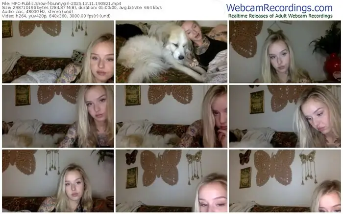 myfreecams-bunnygirl-12-11-2025-19-08-21