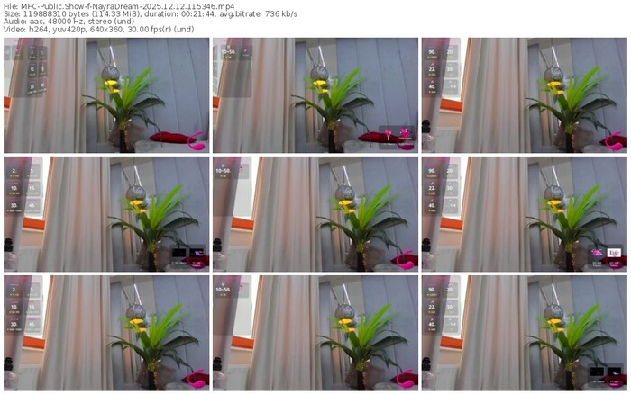 myfreecams-nayradream-12-12-2025-11-53-46