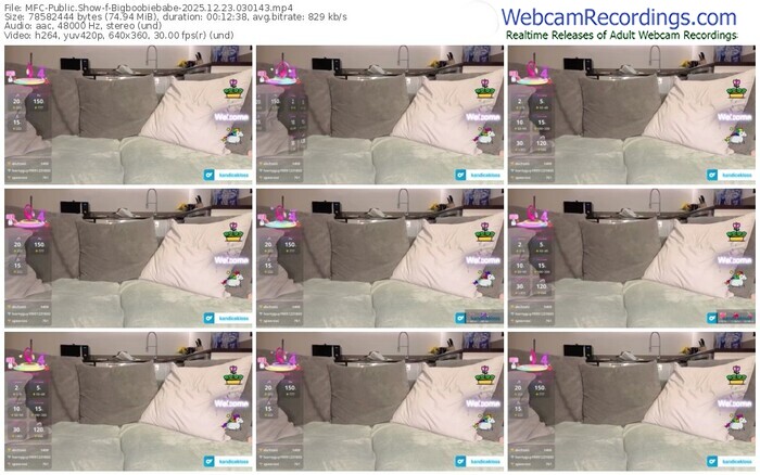 myfreecams-bigboobiebabe-12-23-2025-03-01-43