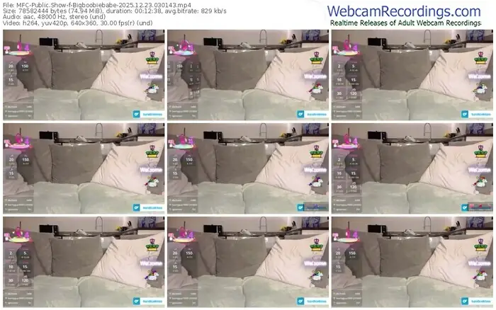 myfreecams-bigboobiebabe-12-23-2025-03-01-43