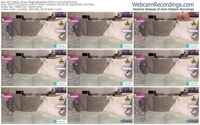 myfreecams-bigboobiebabe-12-23-2025-03-18-28