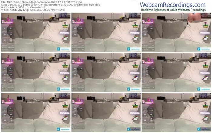 myfreecams-bigboobiebabe-12-23-2025-03-18-28