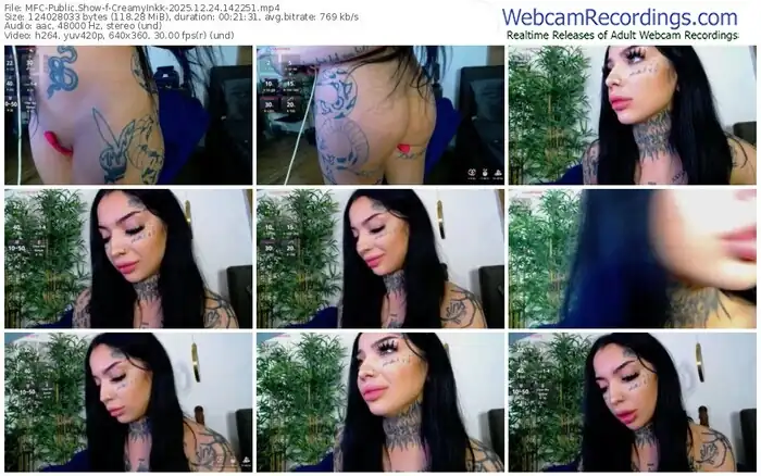 myfreecams-creamyinkk-12-24-2025-14-22-51