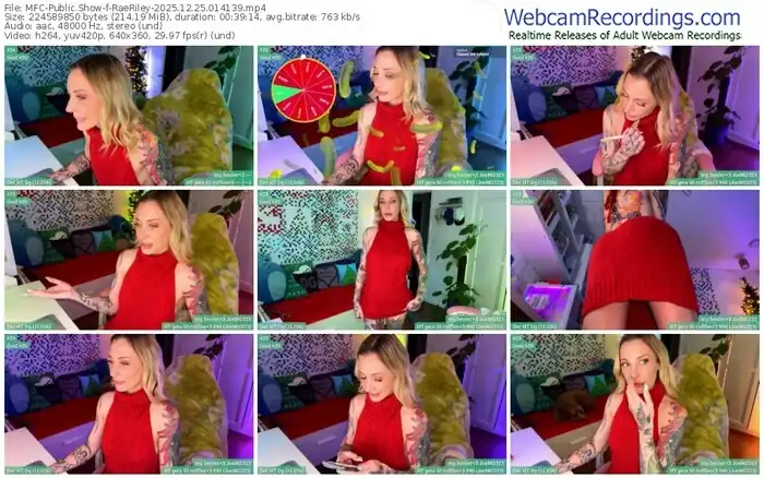 myfreecams-raeriley-12-25-2025-01-41-39