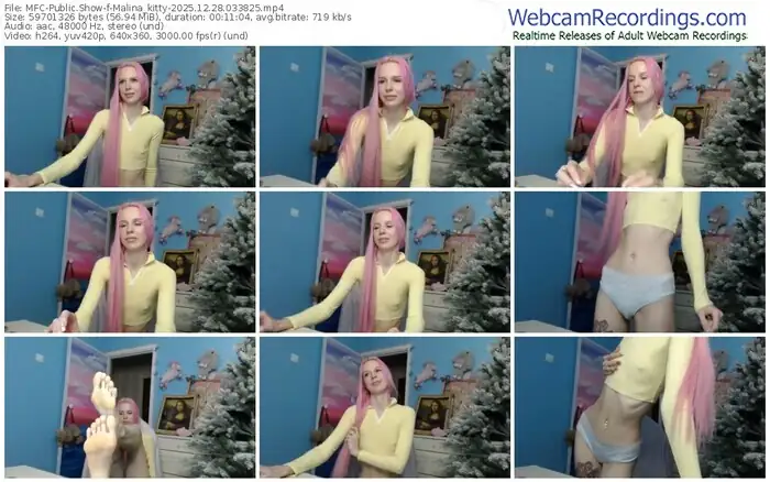 myfreecams-malina_kitty-12-28-2025-03-38-25