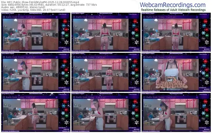 myfreecams-wildwyliepm-12-28-2025-00-00-55