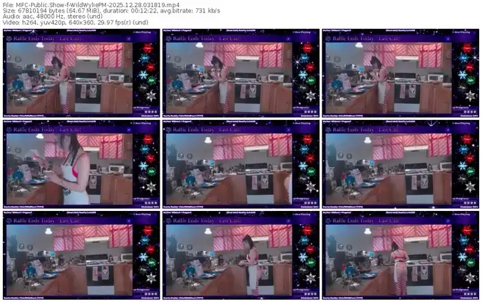 myfreecams-wildwyliepm-12-28-2025-03-18-19