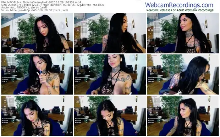 myfreecams-creamyinkk-12-29-2025-10-23-31