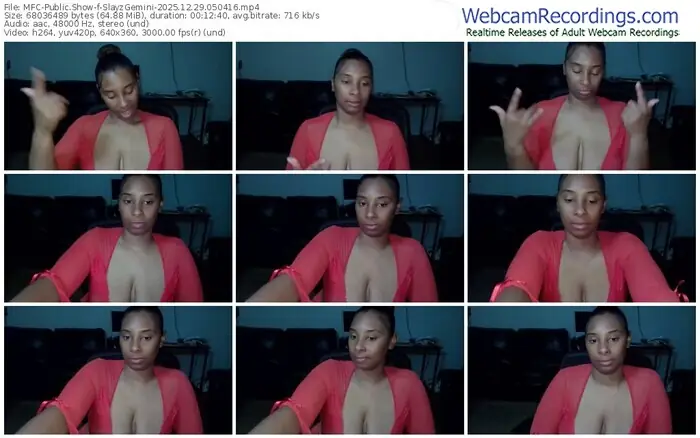 myfreecams-slayzgemini-12-29-2025-05-04-16