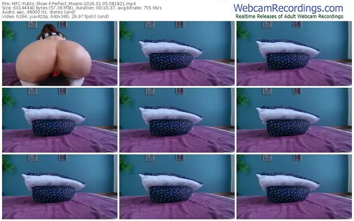 myfreecams-perfect_moans-01-05-2026-08-18-21