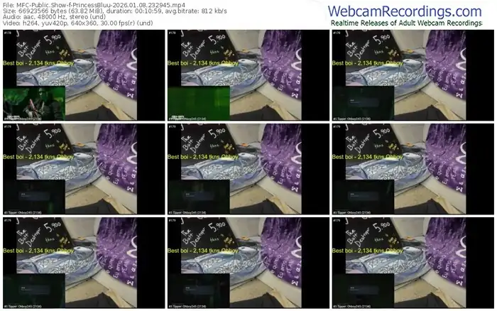 myfreecams-princessbluu-01-08-2026-23-29-45