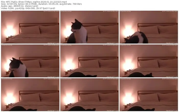 myfreecams-https_sophie-01-10-2026-22-33-23