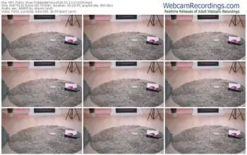 myfreecams-abbelawhite-01-13-2026-11-03-30