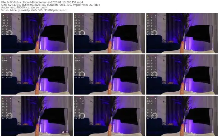 myfreecams-blondiemuller-01-13-2026-00-54-54