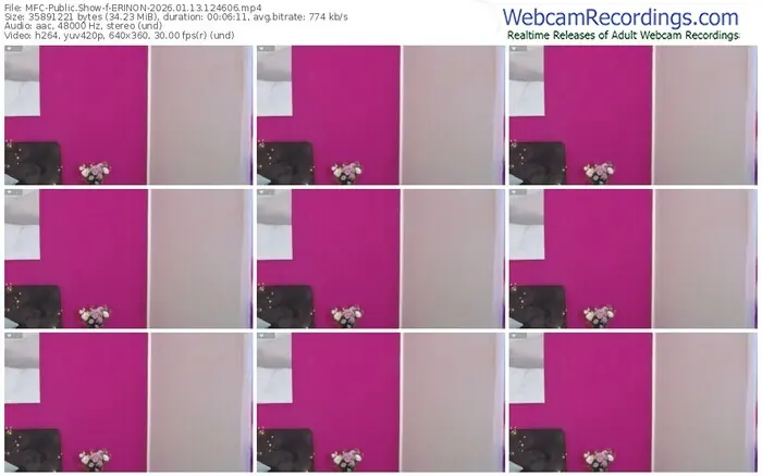 myfreecams-erinon-01-13-2026-12-46-06