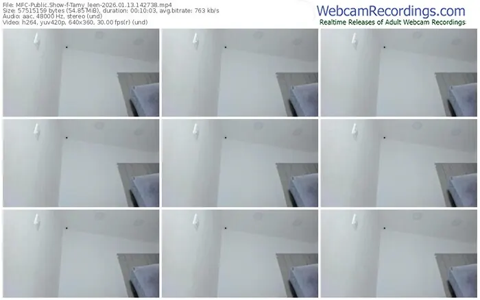 myfreecams-tamy_leen-01-13-2026-14-27-38
