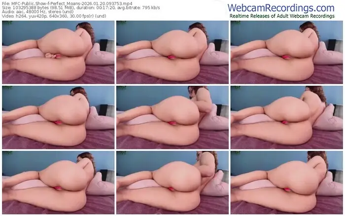 myfreecams-perfect_moans-01-20-2026-09-37-53