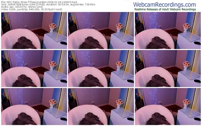 myfreecams-thewizzardjen-01-24-2026-19-04-03