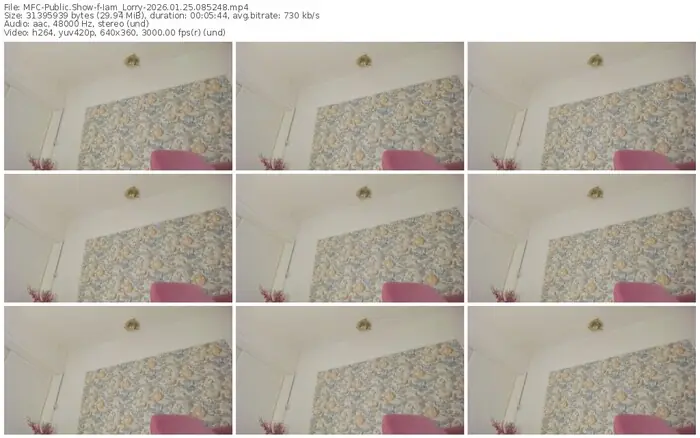 myfreecams-iam_lorry-01-25-2026-08-52-48