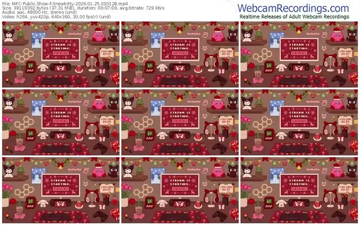 myfreecams-snowkitty-01-25-2026-03-01-28