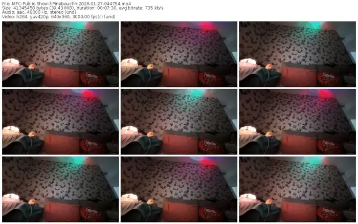 myfreecams-pinabauchh-01-27-2026-04-47-54