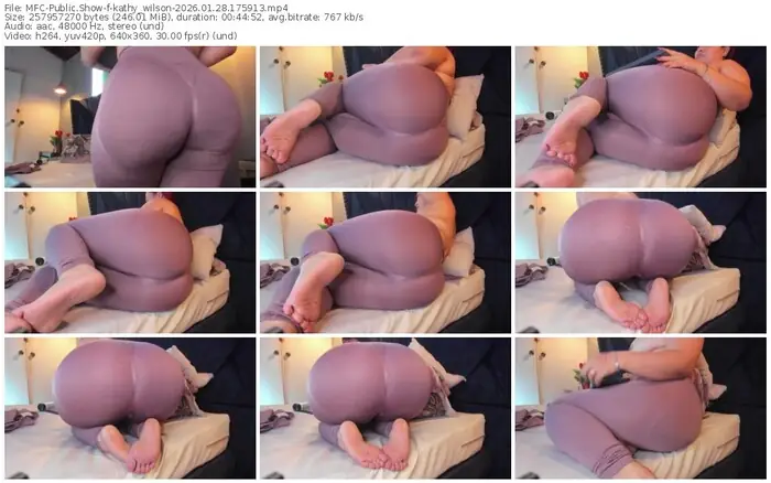 myfreecams-kathy_wilson-01-28-2026-17-59-13