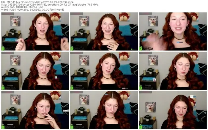 myfreecams-foxylizzy-01-29-2026-20-06-32