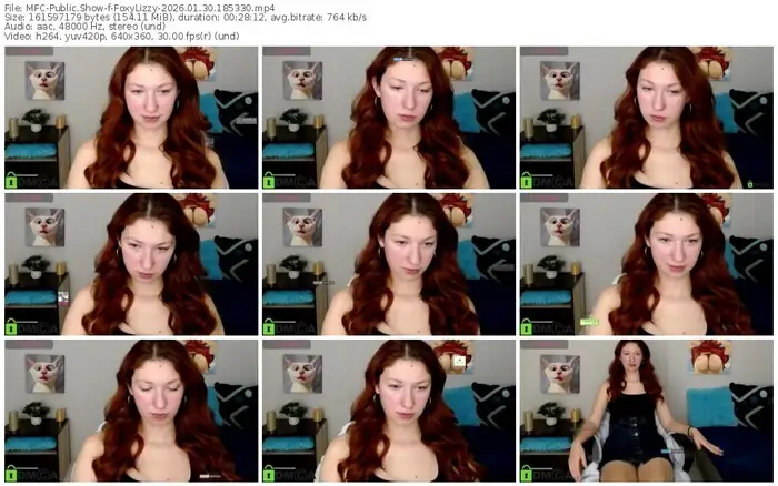 myfreecams-foxylizzy-01-30-2026-18-53-30