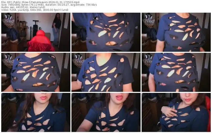 myfreecams-pameheaven-01-31-2026-17-05-33