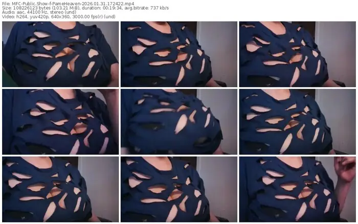 myfreecams-pameheaven-01-31-2026-17-24-22