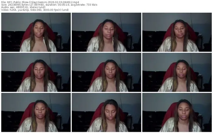 myfreecams-slayzgemini-02-03-2026-08-46-12