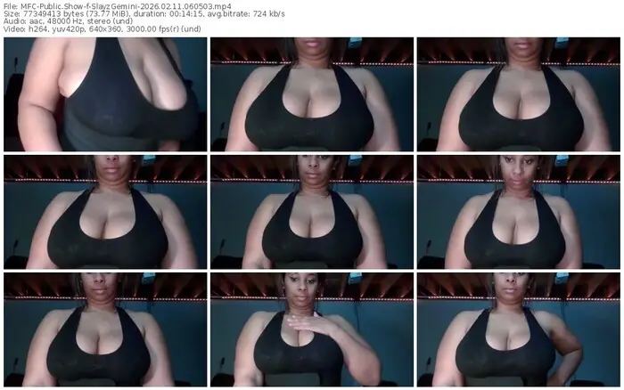 myfreecams-slayzgemini-02-11-2026-06-05-03